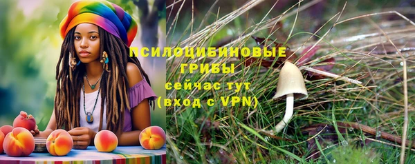 а пвп мука Богородск