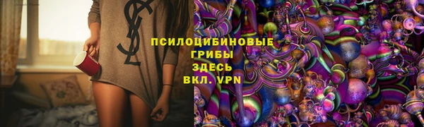 ПСИЛОЦИБИНОВЫЕ ГРИБЫ Бугульма
