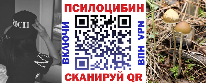 сколько стоит  Городовиковск  мориарти клад  Галлюциногенные грибы мухоморы 